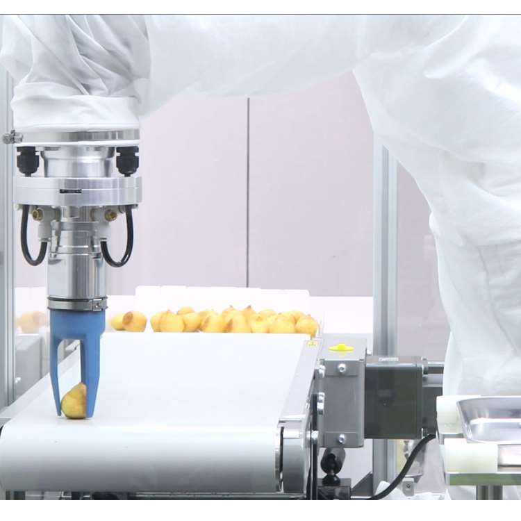 6-Axis CNC Robotic Arm with Li - Linear Guide Rail incelemesi ve fiyatı